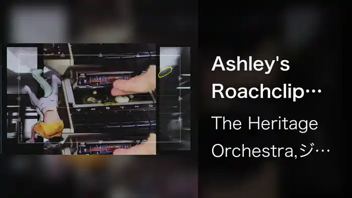 Ashley's Roachclip (Visualiser)