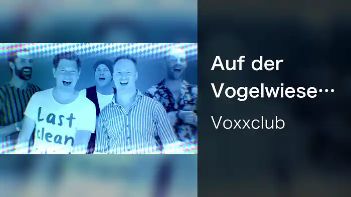 Auf der Vogelwiese (Silverjam Mix / Lyric Video)
