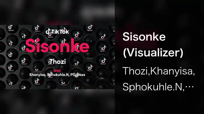 Sisonke (Visualizer)