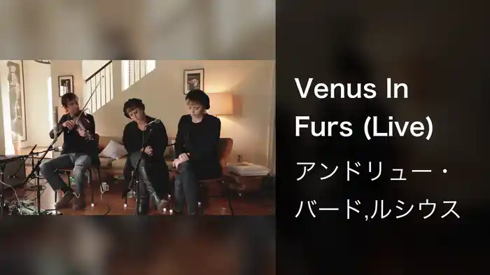 Venus In Furs (Live)