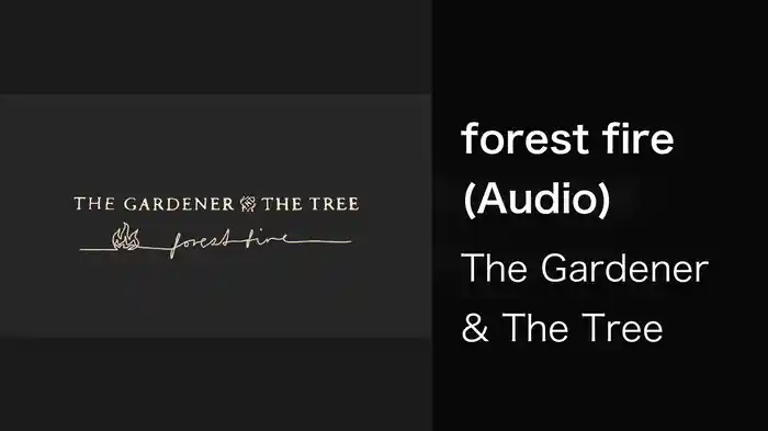 forest fire (Audio)