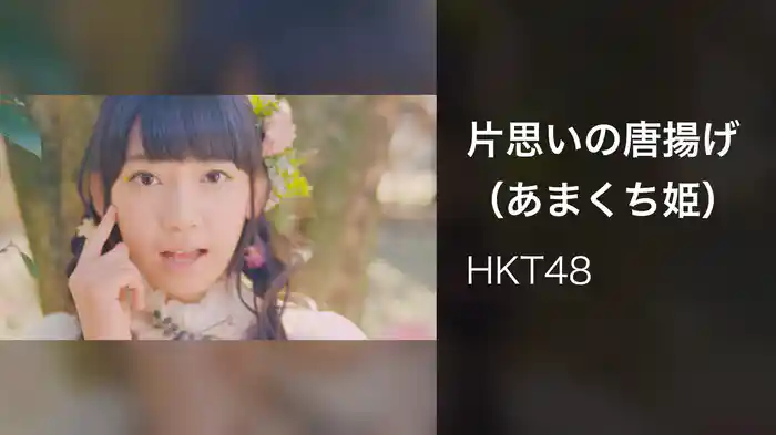 片思いの唐揚げ（あまくち姫）