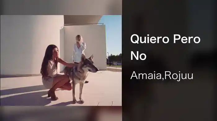 Quiero Pero No