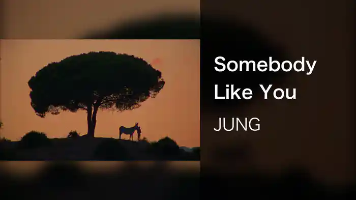 Somebody Like You