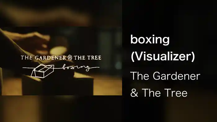 boxing (Visualizer)