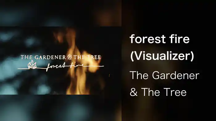 forest fire (Visualizer)