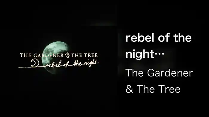 rebel of the night (Visualizer)