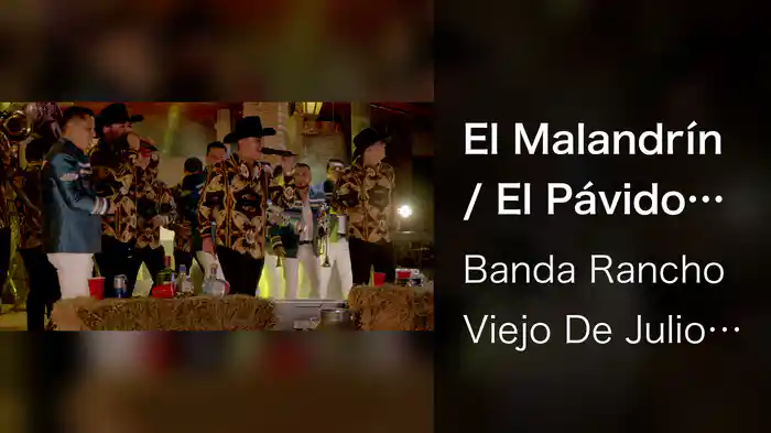 El Malandrín / El Pávido Návido (En Vivo)