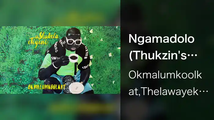 Ngamadolo (Thukzin's Theme / Visualizer)