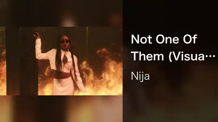 Not One Of Them (Visual Experience)