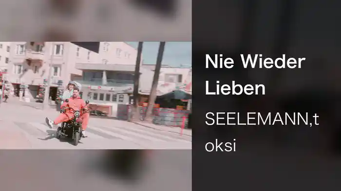 Nie Wieder Lieben