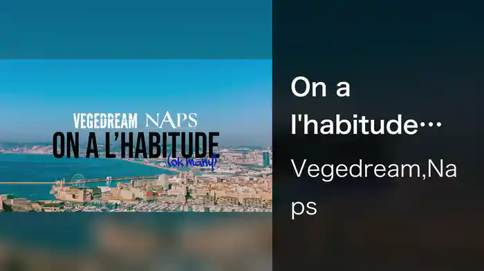 On a l'habitude (Ok Many) (Lyric Video)