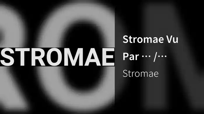 Stromae Vu Par … / Stromae Seen By …