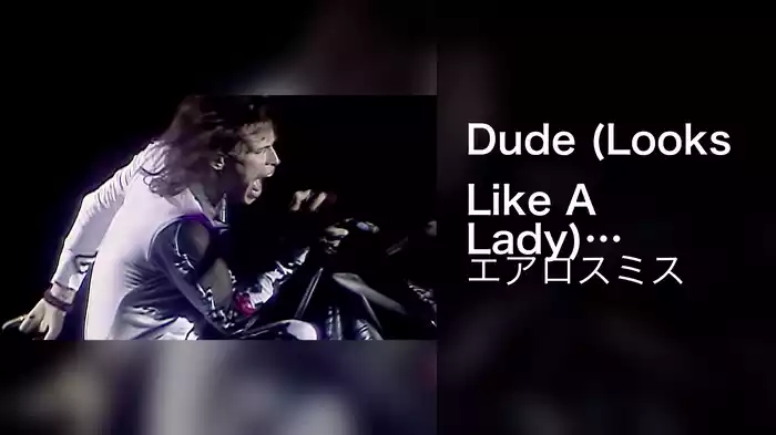 Dude (Looks Like A Lady) (Live From Landover, MD 1989)