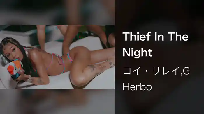 Thief In The Night