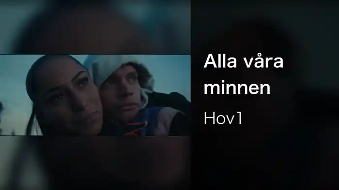 Alla våra minnen