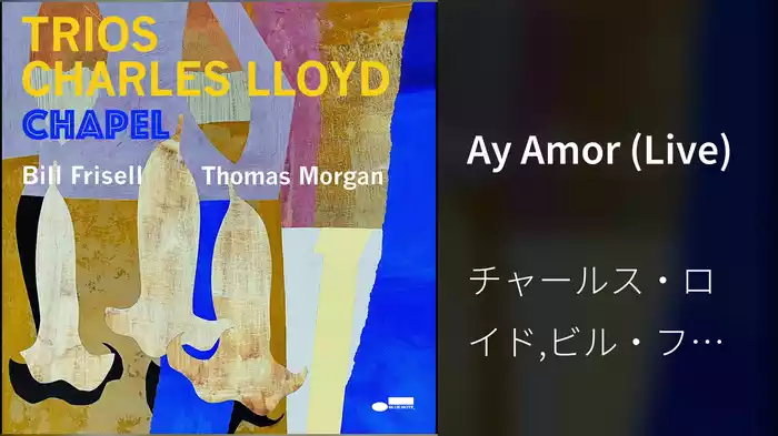 Ay Amor (Live)