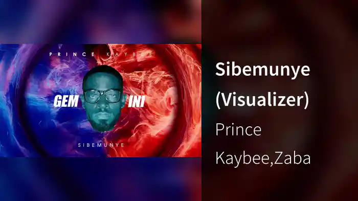 Sibemunye (Visualizer)