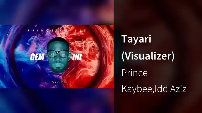 Tayari (Visualizer)