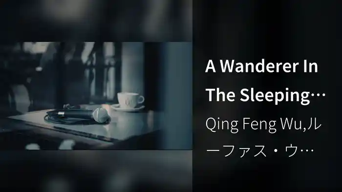 A Wanderer In The Sleeping City