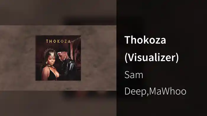 Thokoza (Visualizer)