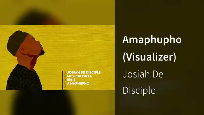 Amaphupho (Visualizer)