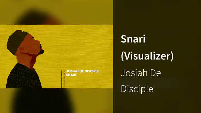 Snari (Visualizer)
