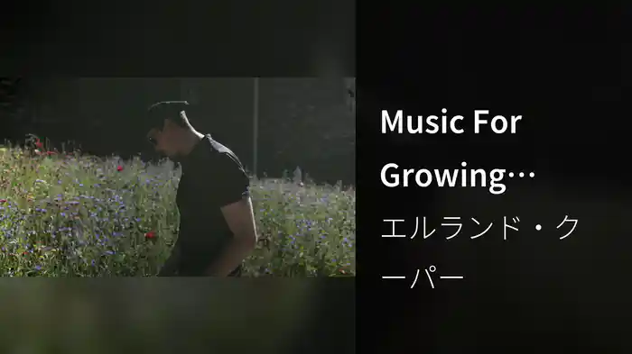Music For Growing Flowers - Superbloom (Tower of London)