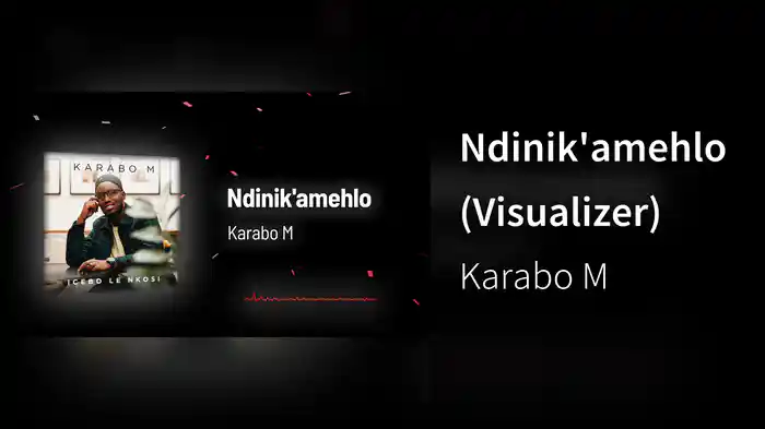Ndinik'amehlo (Visualizer)
