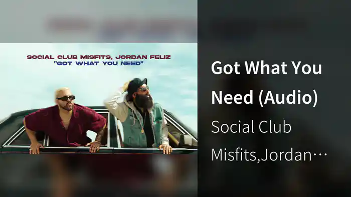 Got What You Need (Audio)