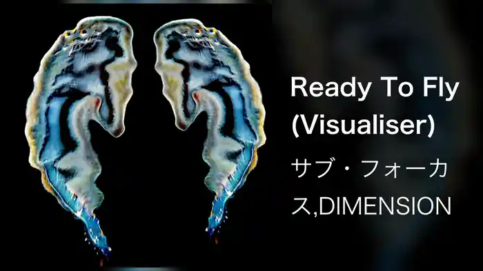 Ready To Fly (Visualiser)