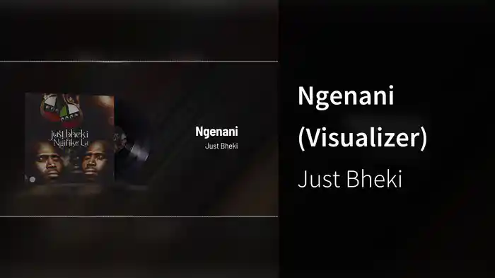 Ngenani (Visualizer)
