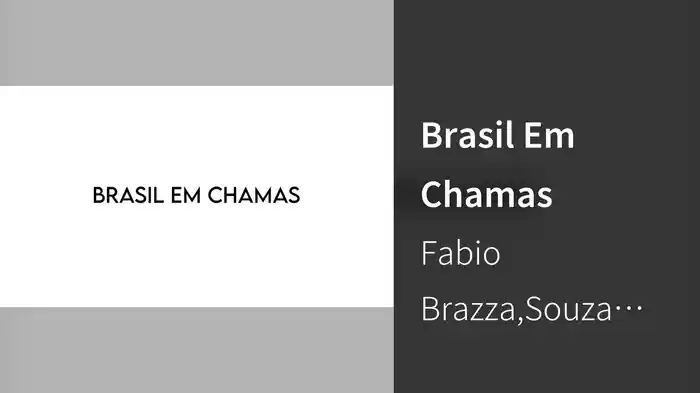 Brasil Em Chamas