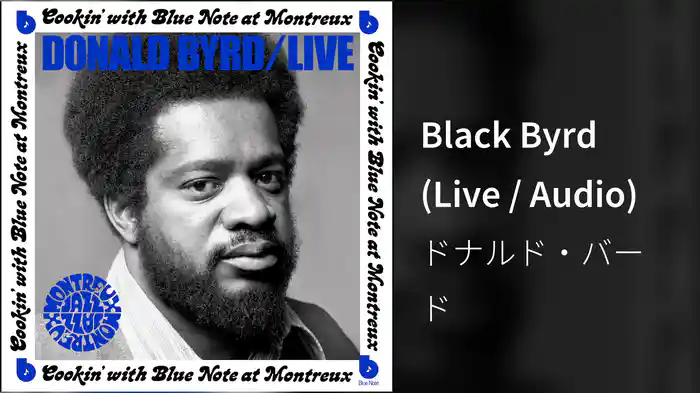 Black Byrd (Live / Audio)