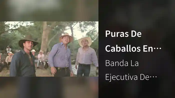Puras De Caballos En Vivo Desde El Rancho
