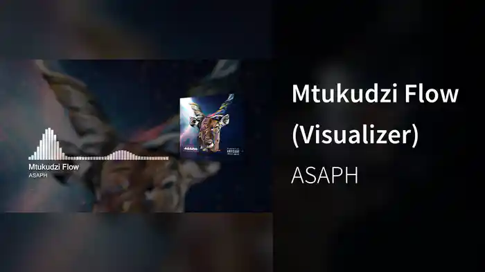 Mtukudzi Flow (Visualizer)
