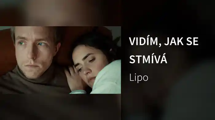 VIDÍM, JAK SE STMÍVÁ