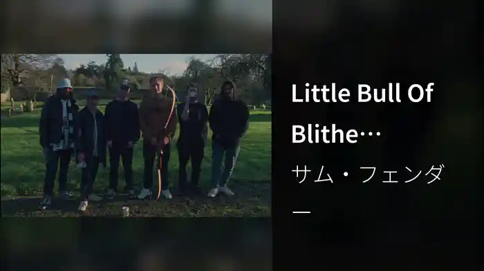Little Bull Of Blithe (Visualiser)