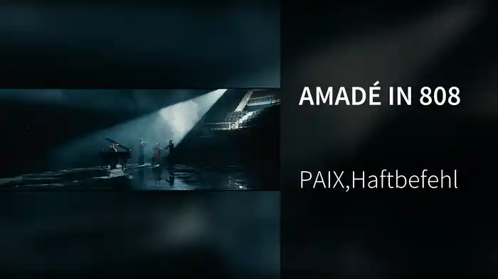 AMADÉ IN 808