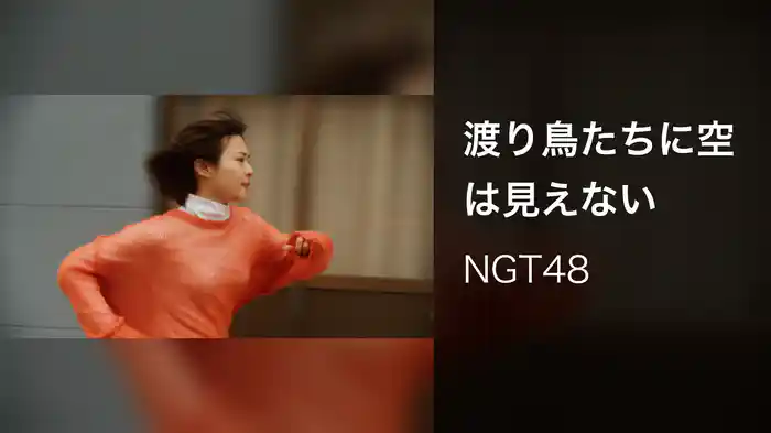 渡り鳥たちに空は見えない