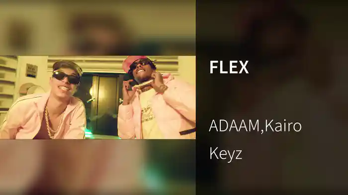 FLEX