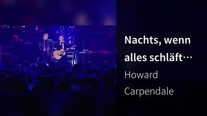 Nachts, wenn alles schläft (Die Show meines Lebens LIVE)