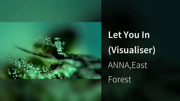 Let You In (Visualiser)