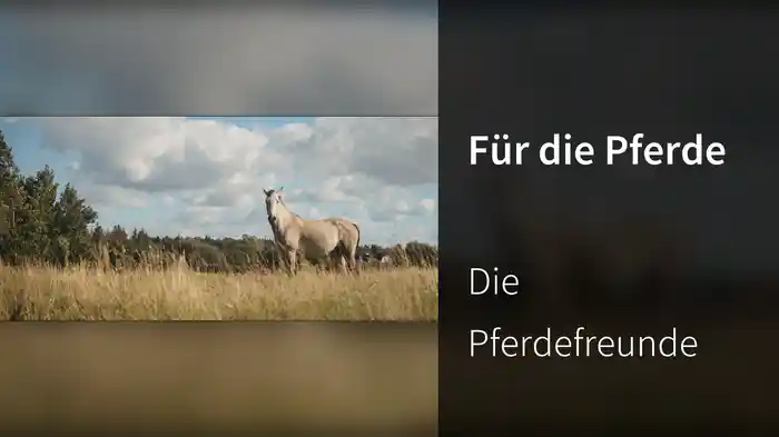 Für die Pferde