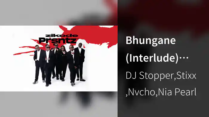 Bhungane (Interlude) (Visualizer)