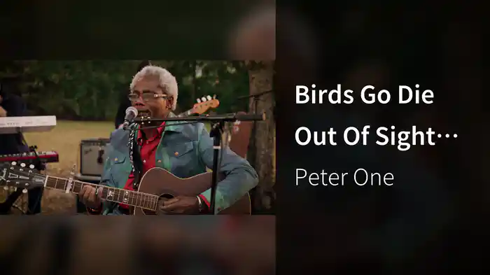 Birds Go Die Out Of Sight (Don't Go Home) (SAVAS Sessions)