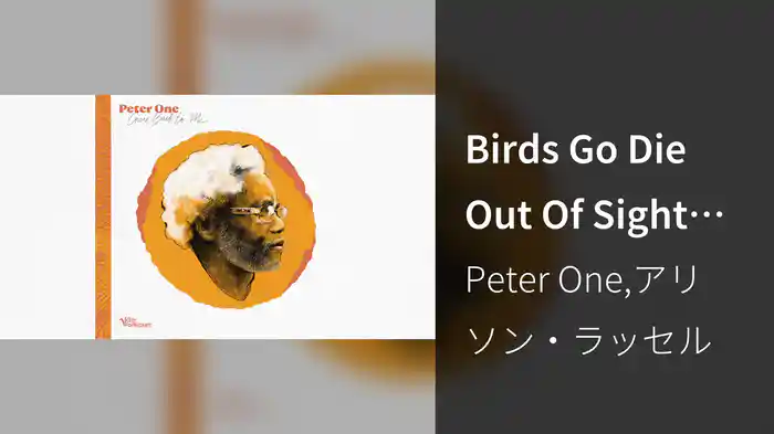 Birds Go Die Out Of Sight (Don't Go Home) (Audio)