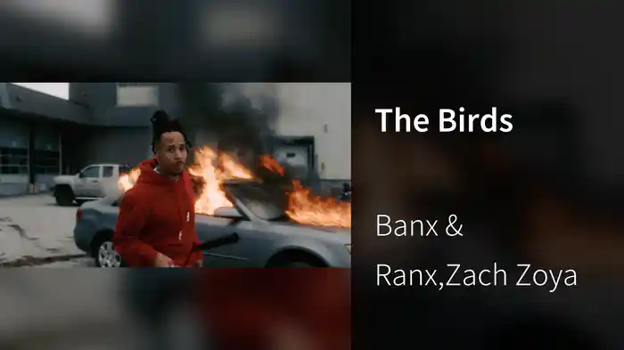The Birds