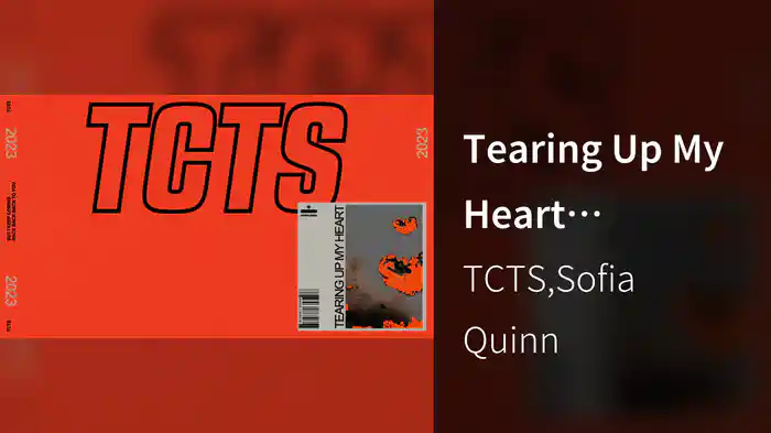 Tearing Up My Heart (Visualizer)