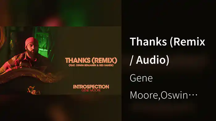 Thanks (Remix / Audio)
